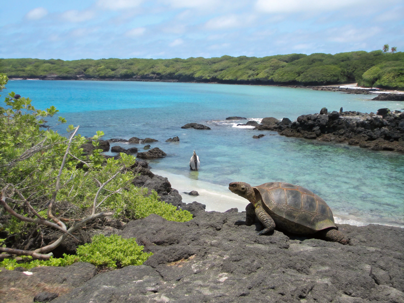 Galapagos Islands